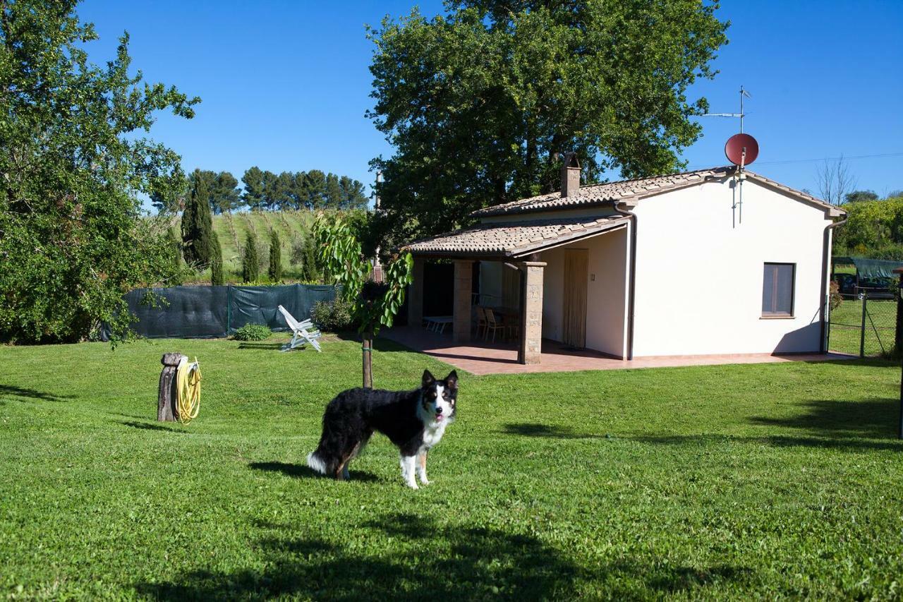 Casa Marta Vila Pitigliano Quarto foto